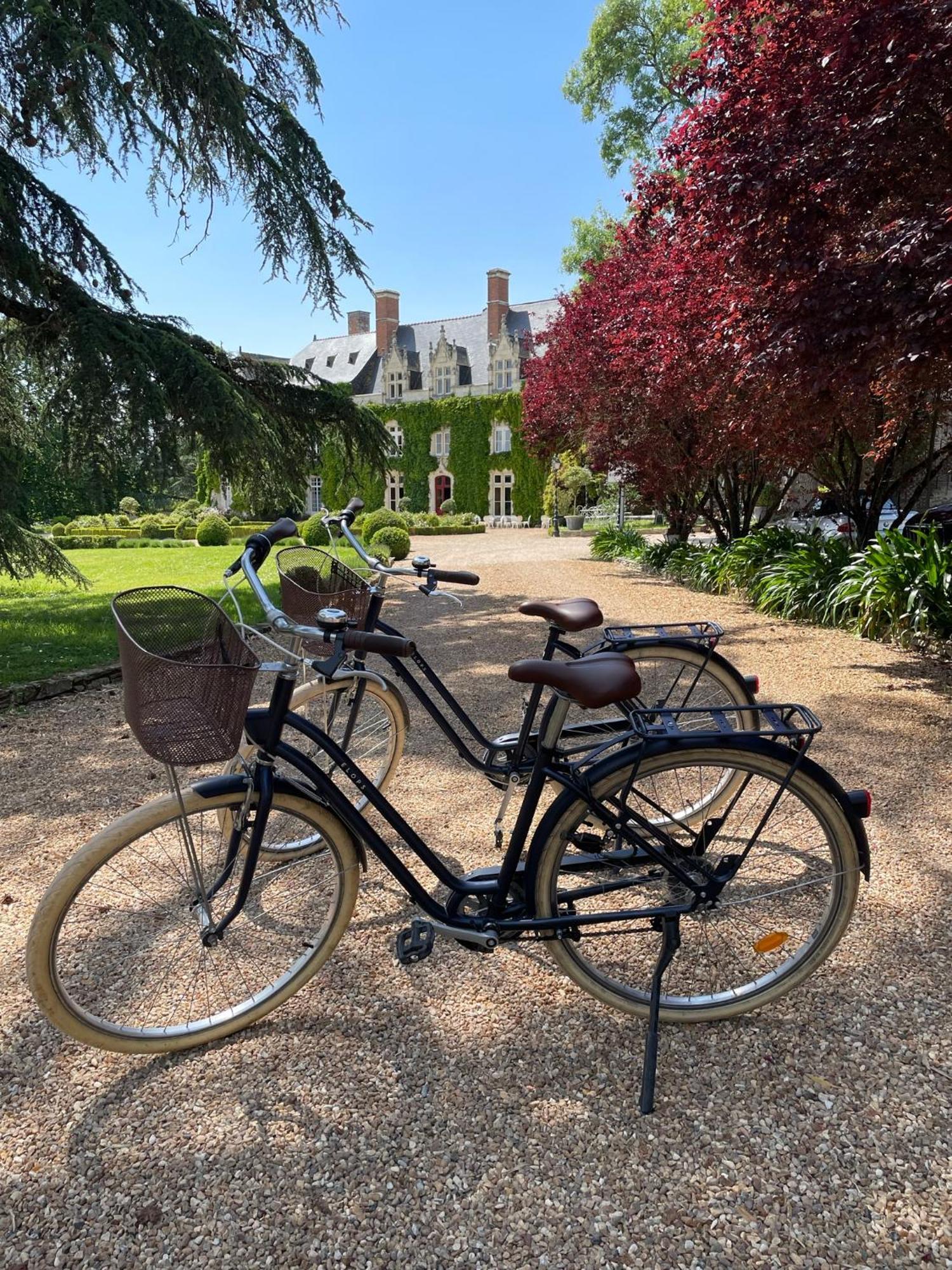 Chateau De L'Epinay Saint-Georges sur Loire Exteriör bild