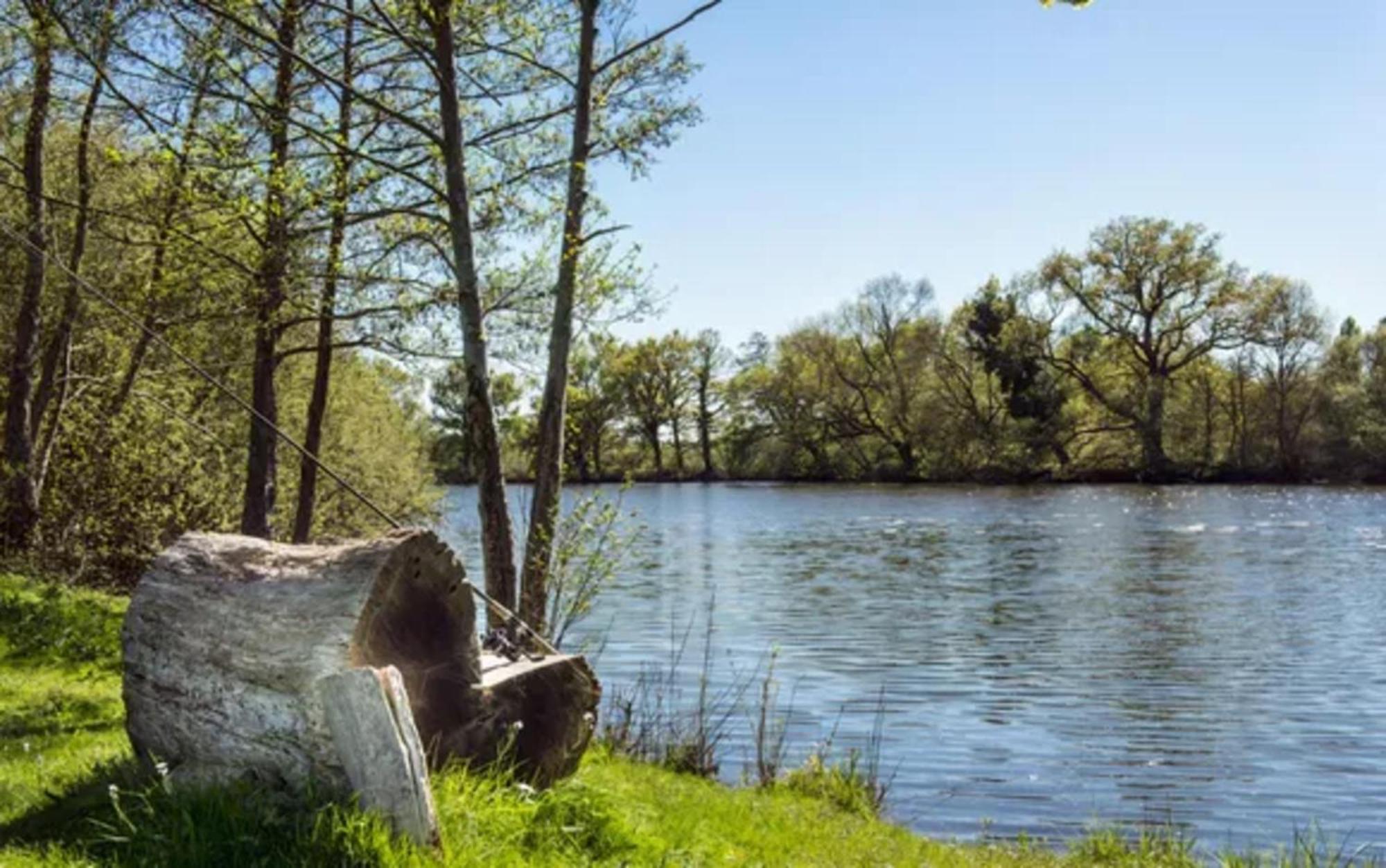 Chateau De L'Epinay Saint-Georges sur Loire Exteriör bild